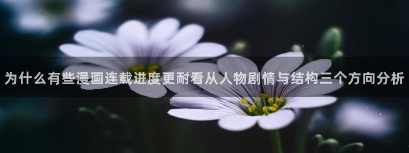 51漫画青年漫画:为什么有些漫画连载进度更耐看从人物剧情与结构三个方向分析